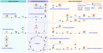 Combined Metabolomics and Biochemical Analyses of Serum and Milk Revealed Parity-Related Metabolic Differences in Sanhe Dairy Cattle