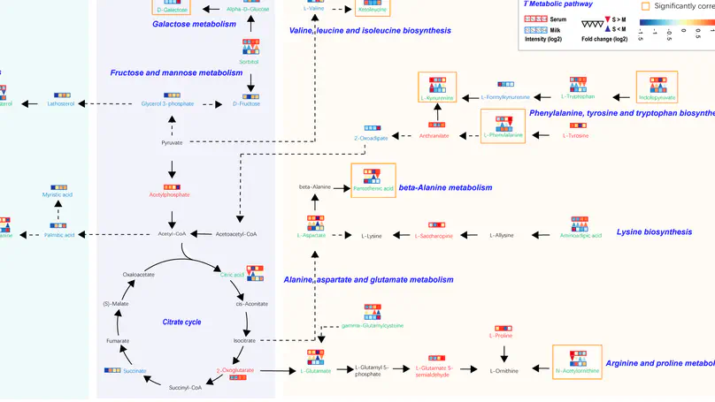 Combined Metabolomics and Biochemical Analyses of Serum and Milk Revealed Parity-Related Metabolic Differences in Sanhe Dairy Cattle