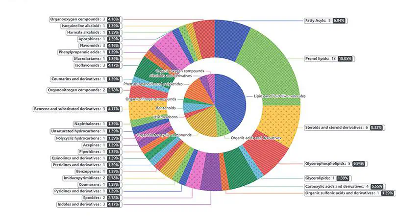 N-Carbamoylglutamate Supplementation on the Digestibility, Rumen Fermentation, Milk Quality, Antioxidant Parameters, and Metabolites of Jersey Cattle in High-Altitude Areas